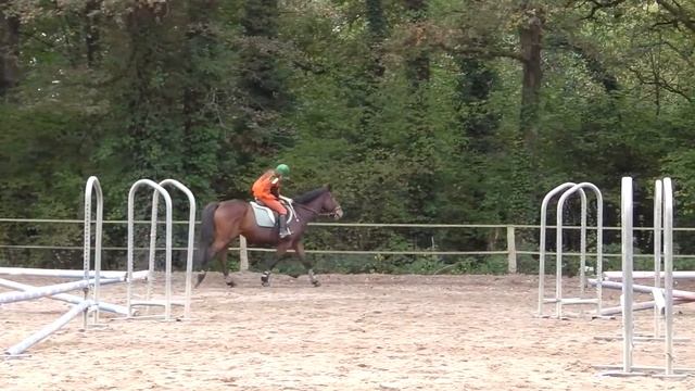 La Gascherie - CSO 60 cm - Julie et Tango смотреть онлайн