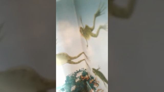 Сказка на ночь. КОРНЕЙ ЧУКОВСКИЙ "Путаница". смотреть онлайн