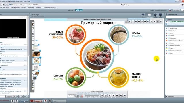 как правильно кормить кошек и собак смотреть онлайн