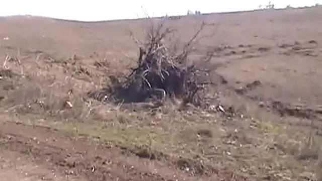 2015 03 25 Логвиново ополченцы смотреть онлайн