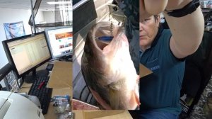 Тейл Спиннер. ТОП  Лучших Моделей ▶ Fishing 2023