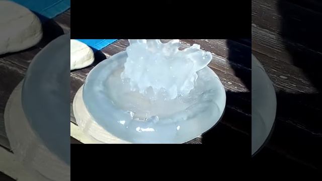 Огромная живая медуза Туапсинский район, пос. Лермонтово смотреть онлайн