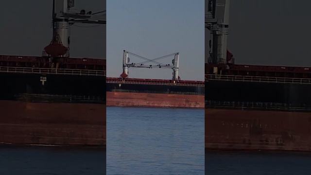 Chesapeake Bay, VA #bulkcarrier #maritime #cargoship #shipspotting #instaship #merchantnavy смотреть онлайн