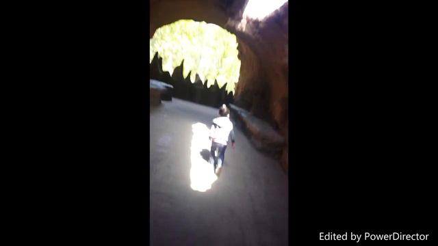 Birthday Trip to the Zoo| Baby Shay смотреть онлайн