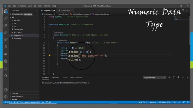 Data Type in C# Demo смотреть онлайн