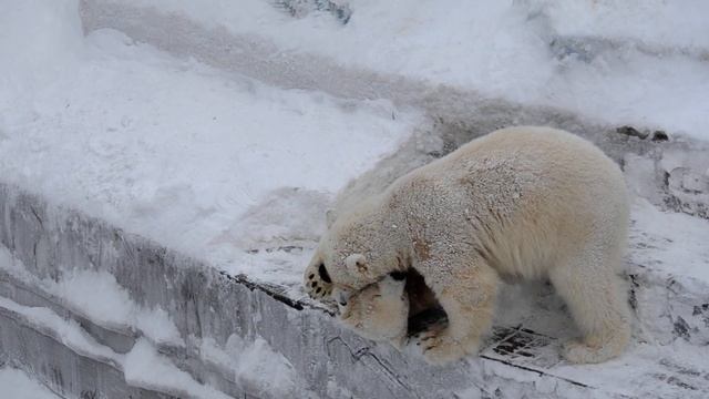 Неравная схватка. смотреть онлайн