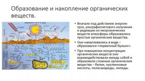 Развитие представлений о происхождении жизни