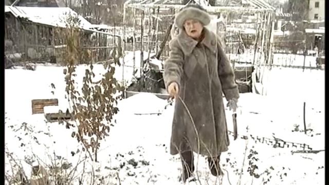 Крыжовнику зимой хорошо смотреть онлайн