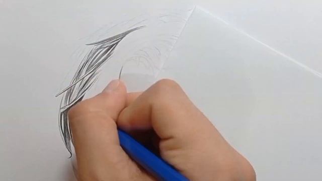 Dibujo: Leonardo DiCaprio ✍️ | Speed Drawing