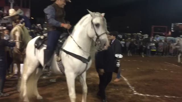 EL SON DE LA RABIA CHUY LIZARRAGA VIDEO смотреть онлайн