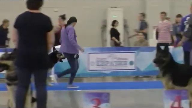 Дали смотреть онлайн