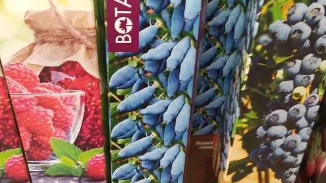 ОБИ САД /ПЛОДОВЫЕ Деревья?/ ЯГОДНЫЕ Кустарники??/привлекательность КОРОБОК так и манит? смотреть онлайн