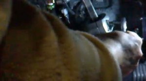 Противоугонный замок Гарант Блок Люкс.