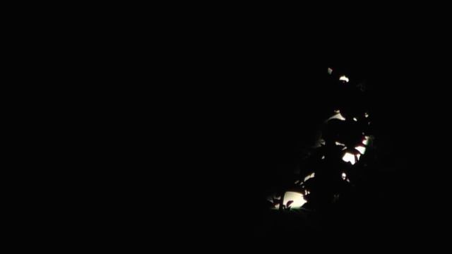 МОЩНОЕ ОТКРОВЕНИЕ ДЛЯ ЖЕНЩИН.ВЫ НЕ ПРЕДСТАВЛЯЕТЕ КАКАЯ СИЛА НАХОДИТСЯ В ВАС! смотреть онлайн