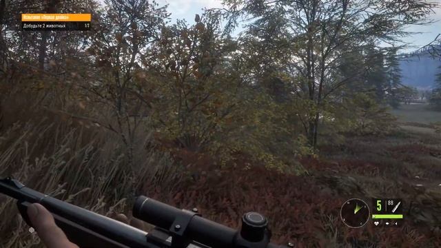 НАПАДЕНИЕ МЕДВЕДЯ НА ЧЕЛОВЕКА - The Hunter: Call of The Wild #3 смотреть онлайн