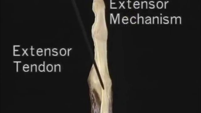 1.3.6 блоковые структуры и связки пальцев (3.41) смотреть онлайн