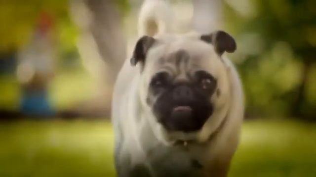 Забери свои чипсы Doritos Смешная реклама Ржач смотреть онлайн