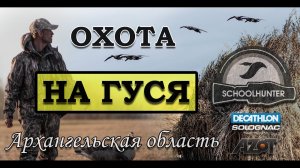 Охота на гуся Архангельская область 2019