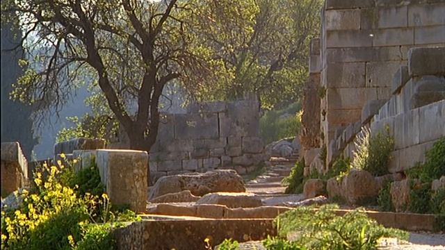 114. Греция, Дельфы. Наследие ЮНЕСКО (UNESCO).