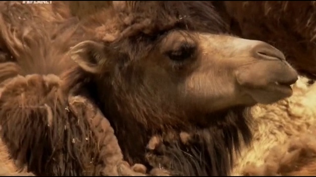 2 серия смотреть онлайн