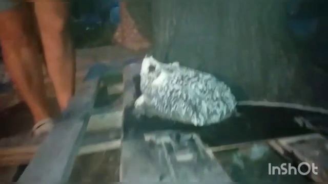 #артбетон #садовыефигуры #своимируками   #Артбетон  #артбетон Цветочник своими руками.