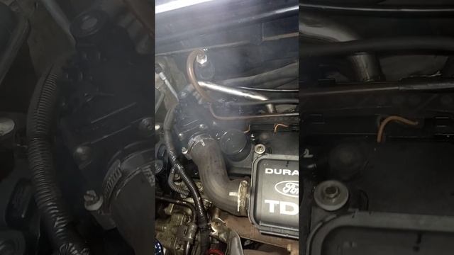 ecosport 1.4tdci ANDA A VER AL QUE TE REPARO LA ECU DE DIJERON...LO MIO YA QUEDO JAJAJA смотреть онлайн