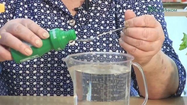 "Фитоспорин-М РАССАДА, ОВОЩИ, ЯГОДЫ, ПЛОДОВЫЕ" и "Фитоспорин-М ЦВЕТЫ" - применение смотреть онлайн