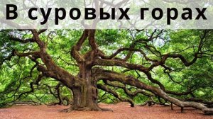 В Суровых Горах I Красивая Христианская Песня