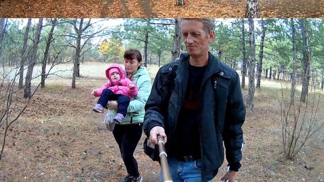 Прогулка в осеннем лесу / Walk in the autumn forest смотреть онлайн