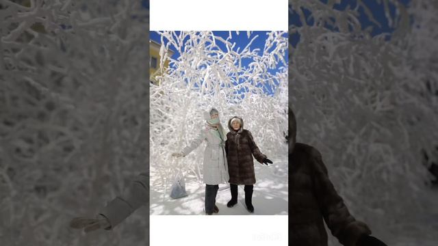 1 января 2024 года смотреть онлайн