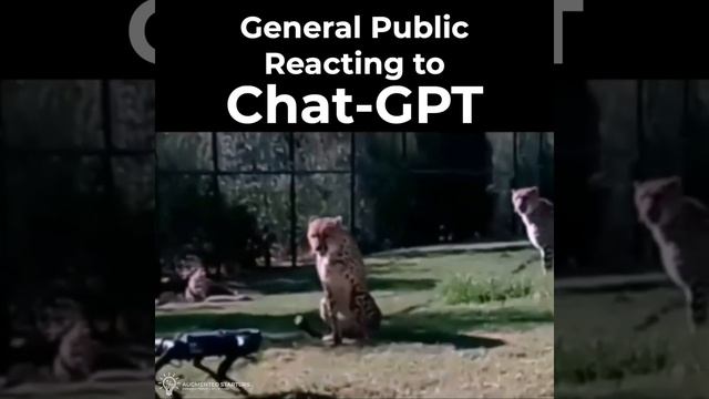 General Public Reacting to ChatGPT смотреть онлайн