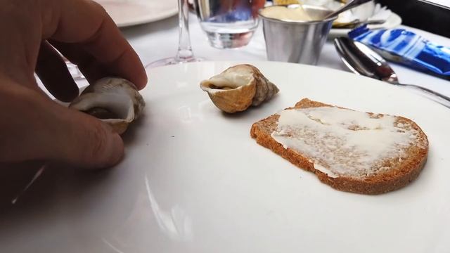 A Brasserie Fit for a President (my experience at la Rotonde in Paris Montparnasse) смотреть онлайн