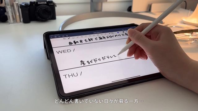 【2024】iPad Diary | デジタル手帳 | GoodNotes5&6 смотреть онлайн