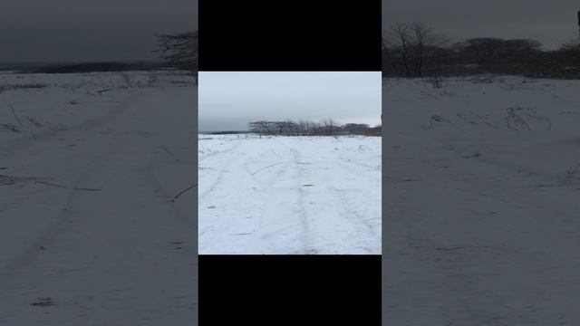 2023-03-14 смотреть онлайн