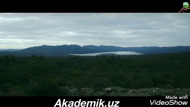 Ķалблар ором олувчи жуда чиройли азон смотреть онлайн