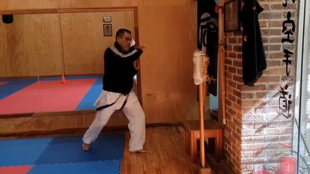 Makiwara karate Ricardo Mata 6 Dan WSKF MÉXICO смотреть онлайн