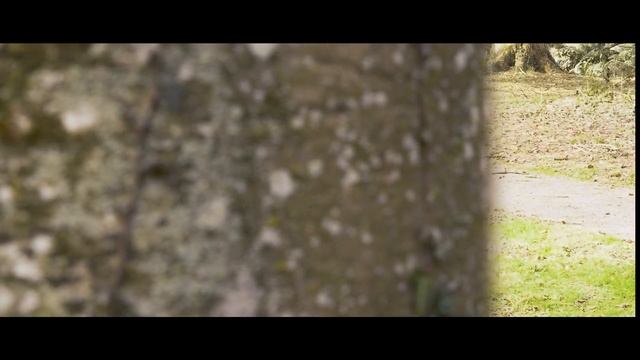 Sony a7 iii | Cinematic video | Maria Vesperbild | Мария Веспербильд смотреть онлайн