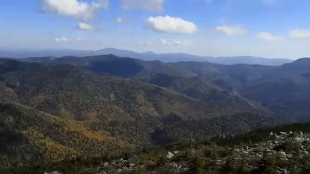 Гора Ольховая Приморский край смотреть онлайн