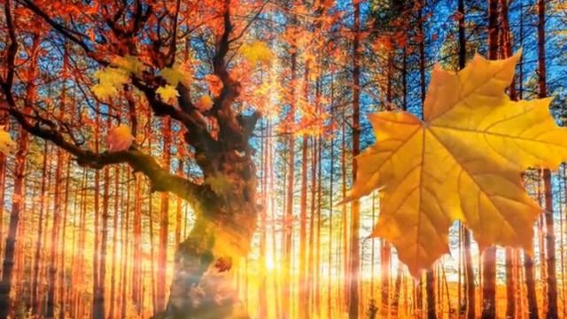 Б Астахов Лебеди летят Суручану