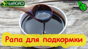ДЛЯ РАССАДЫ И ЦВЕТОВ ГОТОВИМ МАТОЧНЫЙ РАСТВОР! Как легко и просто приготовить раствор для подкормки.