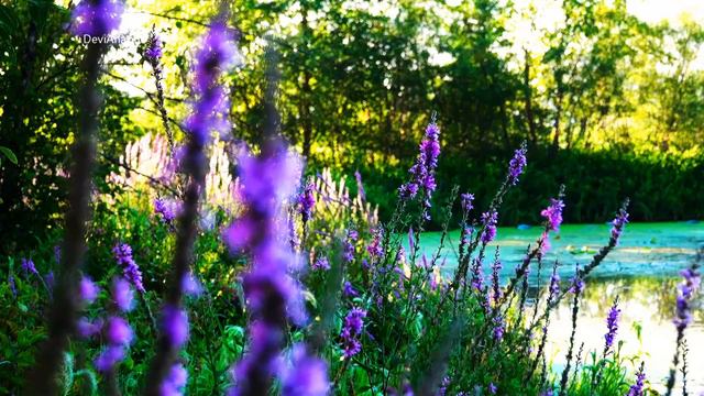 Krishna Flute Music, Morning Flute Music, Flute Meditation, Relaxing Flute,Indian Flute,Bansuri *26