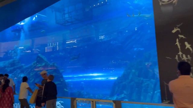 Дубай летом 2022/обзор метро/пляж la mer. смотреть онлайн