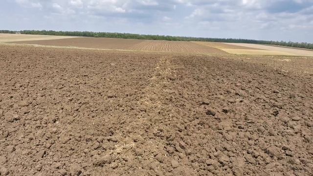 оборотныйплуг пахота мтз. Пашем зябь. REGENTМТЗ 892