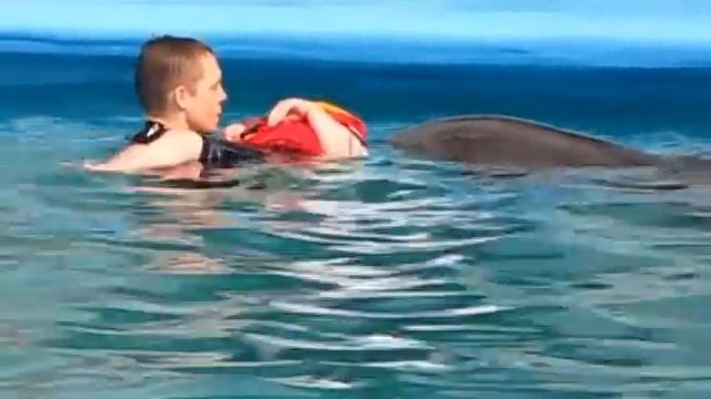 Дельфинарий Немо смотреть онлайн