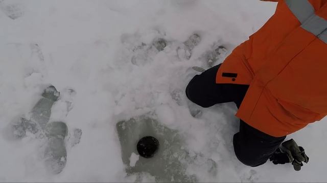 МАГАЗИННЫЕ жерлицы ПРОТИВ своих МОДЕРНИЗИРОВАННЫХ Русловая щука на жерлицы смотреть онлайн