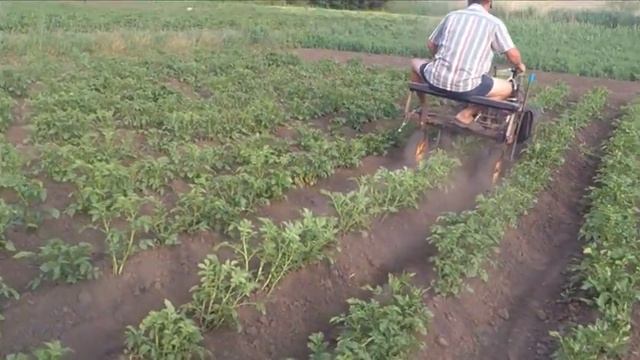 Культиватор с ёжиками. Обработка картофеля смотреть онлайн