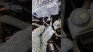 ДАД( датчик абсолютного давления) Рено Логан 2