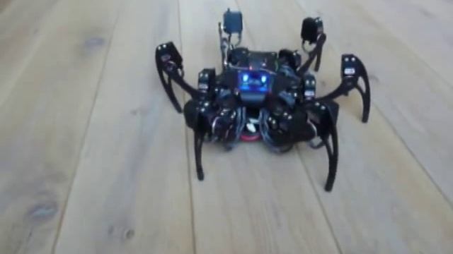 Phoenix V2.0 смотреть онлайн