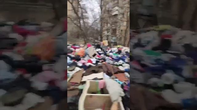 Центр Свинарнии сам Киев смотреть онлайн