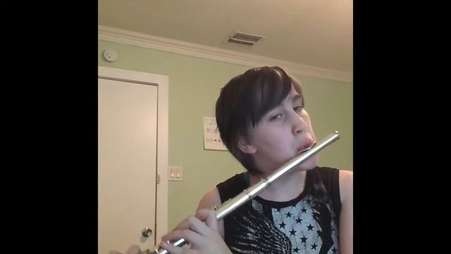 Jar of Hearts - Christina Perri Flute Cover смотреть онлайн